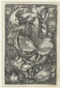 Dísz találkozott bladranken alkotó: Albrecht Altdorfer