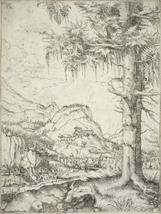 A nagy lucfenyő, 1520 körül alkotó: Albrecht Altdorfer