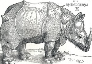 Egy orrszarvú, 1515, 1906 alkotó: Albrecht Dürer