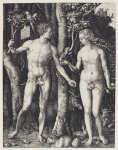 Ádám és Éva alkotó: Albrecht Dürer