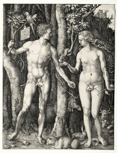 Ádám és Éva alkotó: Albrecht Dürer