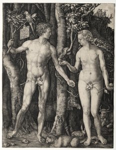 Ádám és Éva alkotó: Albrecht Dürer