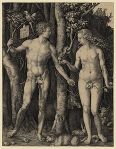 Ádám és Éva alkotó: Albrecht Dürer