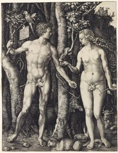Ádám és Éva alkotó: Albrecht Dürer