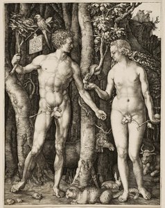 Ádám és Éva alkotó: Albrecht Dürer