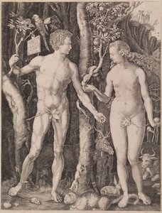 Ádám és Éva alkotó: Albrecht Dürer