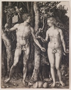 Ádám és Éva alkotó: Albrecht Dürer