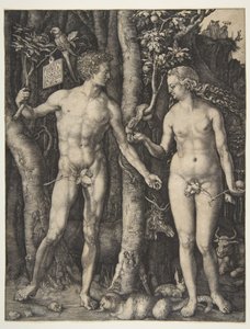  alkotó: Albrecht Dürer