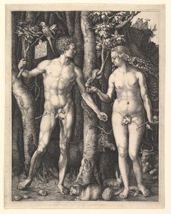  alkotó: Albrecht Dürer
