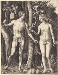  alkotó: Albrecht Dürer