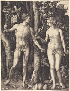  alkotó: Albrecht Dürer