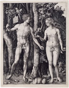  alkotó: Albrecht Dürer
