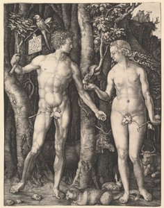  alkotó: Albrecht Dürer