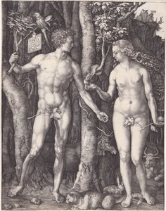  alkotó: Albrecht Dürer