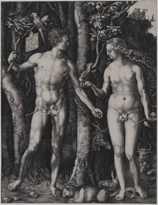  alkotó: Albrecht Dürer