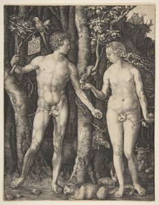  alkotó: Albrecht Dürer