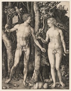  alkotó: Albrecht Dürer