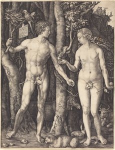  alkotó: Albrecht Dürer
