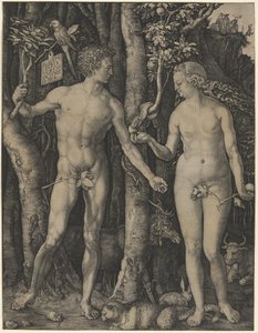  alkotó: Albrecht Dürer