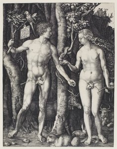 Ádám és Éva alkotó: Albrecht Dürer