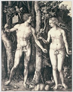 Eredendő bűn alkotó: Albrecht Dürer