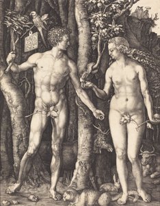 Ádám és Éva, 1504. alkotó: Albrecht Dürer