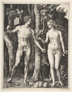 Ádám és Éva, 1504 alkotó: Albrecht Dürer
