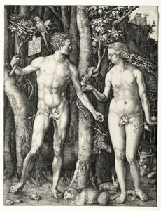 Ádám és Éva, 1504. alkotó: Albrecht Dürer