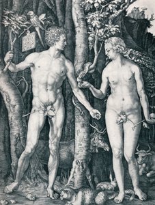 Ádám és Éva, 1504 1906 alkotó: Albrecht Dürer