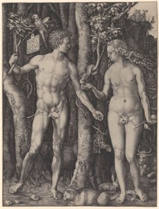 Ádám és Éva alkotó: Albrecht Dürer