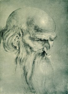 Apostol feje alkotó: Albrecht Dürer