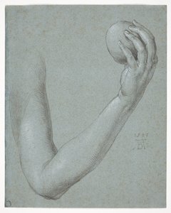 Éva karja alkotó: Albrecht Dürer