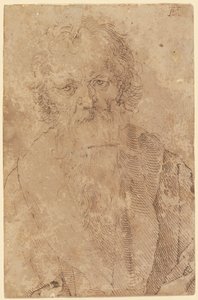  alkotó: Albrecht Dürer