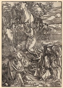  alkotó: Albrecht Dürer