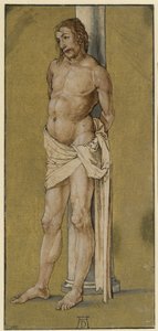  alkotó: Albrecht Dürer