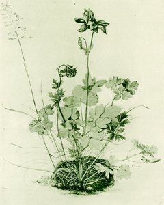 Harangláb alkotó: Albrecht Dürer