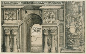  alkotó: Albrecht Dürer