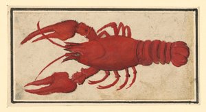  alkotó: Albrecht Dürer