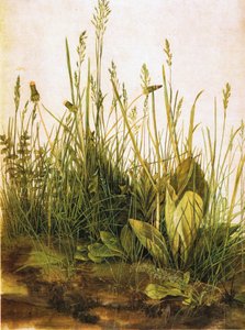 Német: Das große Rasenstück The Large Piece of Turf alkotó: Albrecht Dürer