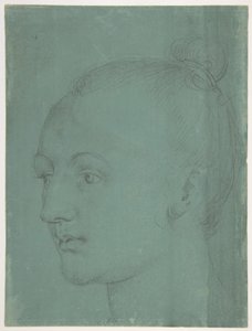 alkotó: Albrecht Dürer