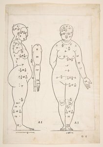 Illusztráció Dürer Négy könyvéből az emberi arányról, Nürnberg, 1528.n.d. alkotó: Albrecht Dürer