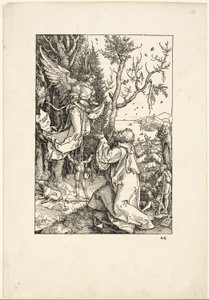 Joachim és az angyal, A Szűz életéből alkotó: Albrecht Dürer