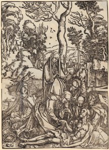  alkotó: Albrecht Dürer