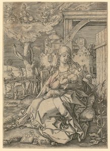 Szűz a gyermekkel alkotó: Albrecht Dürer