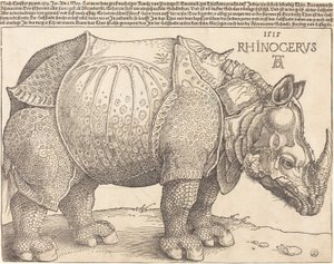 Latin:  Rhinocerus Az orrszarvú alkotó: Albrecht Dürer