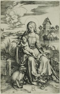 Madonna a majommal alkotó: Albrecht Dürer
