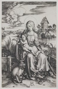  alkotó: Albrecht Dürer
