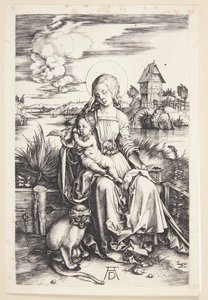 Madonna a majommal alkotó: Albrecht Dürer