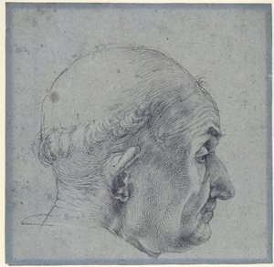 Férfi fej profilból alkotó: Albrecht Dürer