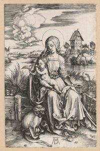Mária a Gyermekkel és a tengeri majommal alkotó: Albrecht Dürer
